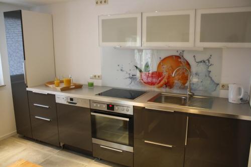 a kitchen with stainless steel appliances and white cabinets at Ferienwohnung am Riesenfuss in Pirna