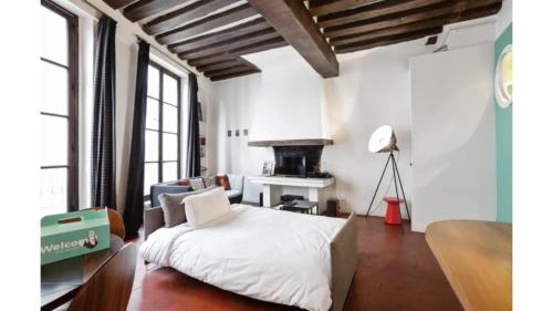 Parisian Apartment With Terrace in Saint Michel-Notre Dame
