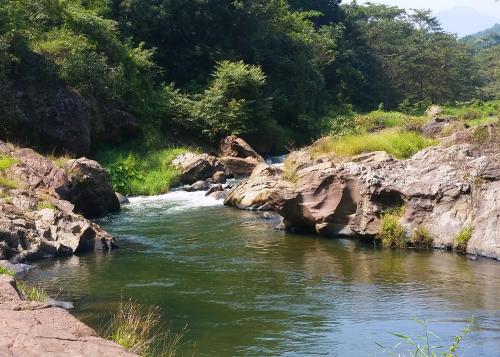 a river with rocks and trees in the background at Ahaspokuna by Eco Team in Belihul Oya