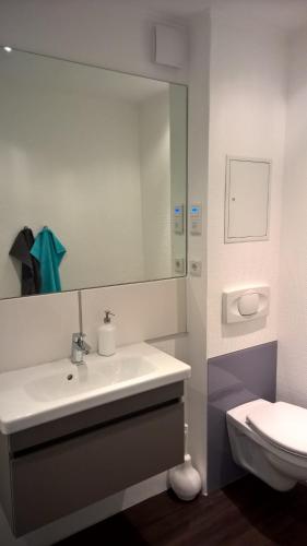 ein Badezimmer mit einem Waschbecken, einem WC und einem Spiegel in der Unterkunft Altstadtquartier in Flensburg