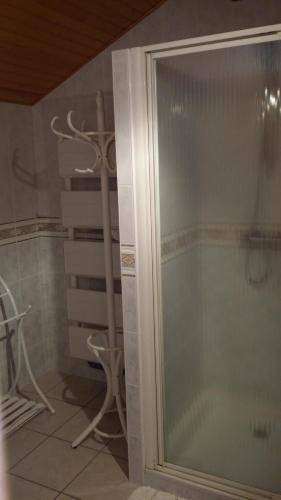 a shower with a glass door in a bathroom at L'Or de Fabiol in Orlu
