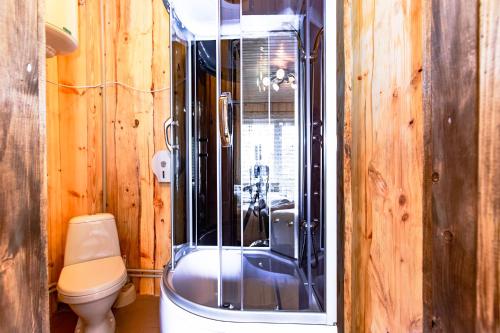 a bathroom with a shower and a toilet in a room at Gutsulska rodzynka in Yaremche