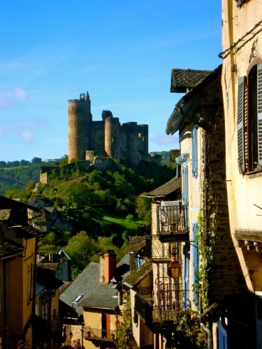 a city with a castle in the background at VVF Aveyron Najac in Najac