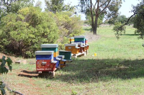 Gallery image of Mater Bed & Food-Riserva Naturale di Torre Guaceto in Serranova