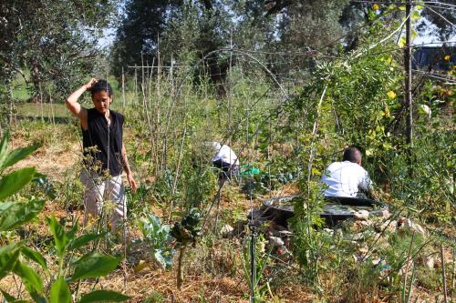 Gallery image of Mater Bed & Food-Riserva Naturale di Torre Guaceto in Serranova