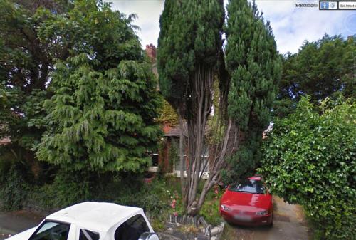 Κήπος έξω από το The Shady Corner, Flat 2, 16 Sandy Lane