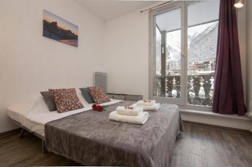 Chamonix Sud - Forclaz 213 - happy Rentals