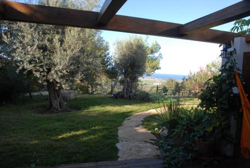 a view of a yard with trees and a pathway at Above the Sea in ‘En Hod