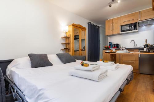 Apt Paccard305 Central Chamonix Studio, near Brevent lift for 2 - Happy Rentals