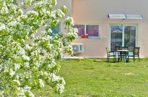 Foto dalla galleria di La Maison di Zia Annina in Sardegna a Olbia