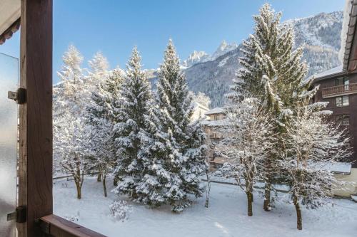 Chamonix Sud