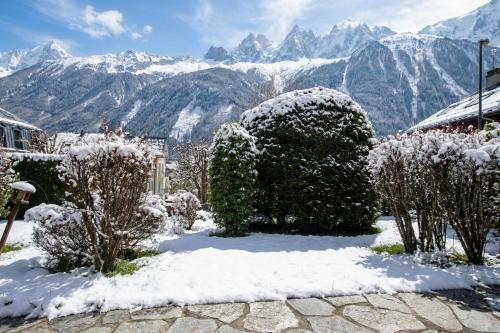 Apt du Brevent ski in/out Garden & Terrace - Happy Rentals