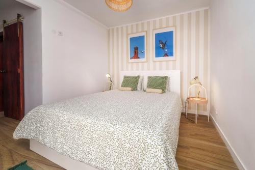 Faro City Nest