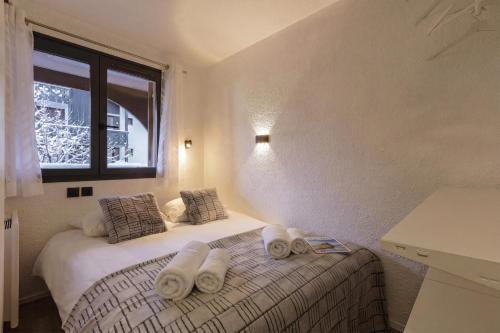 Chamonix Sud