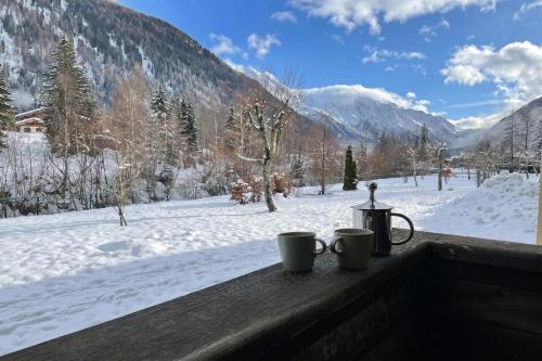 Grand Roc C15 - 280m from Slopes, Mont-Blanc View, Parking & WiFi - Happy Rentals