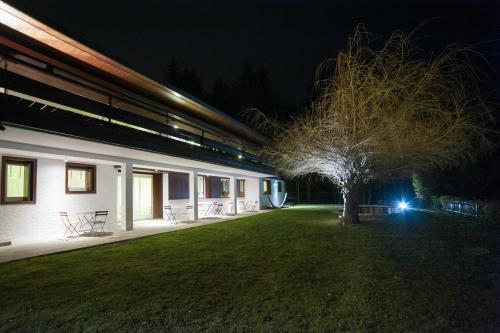 a building with a tree in a yard at night at Dimora Al Bivacco in Pieve di Cadore