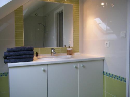 ein Bad mit einem Waschbecken und einem Spiegel in der Unterkunft Les chambres du Manoir de Kerhel in Locoal-Mendon
