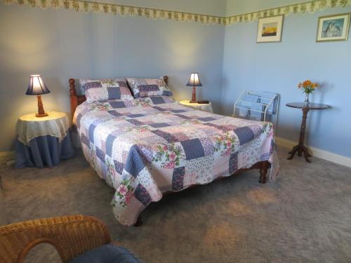 1 dormitorio con 1 cama y 2 mesas con lámparas en Arabella Country House, en Princetown