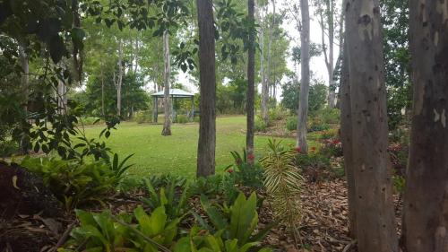 a grassy area with trees and shrubs at Tiaro Motor Inn in Tiaro