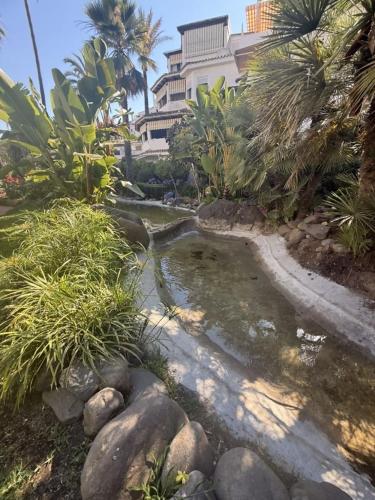 Apartamento de 1 hab en primera línea de playa