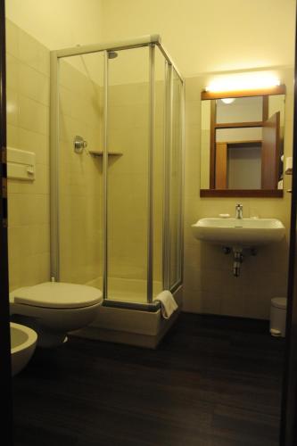 a bathroom with a shower and a toilet and a sink at Albergo Al Sole in Mezzolombardo