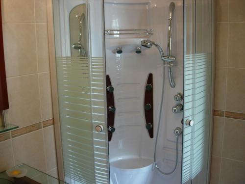 um chuveiro com uma porta de vidro na casa de banho em L'Epicurien em Saint-Nicolas-de-Port