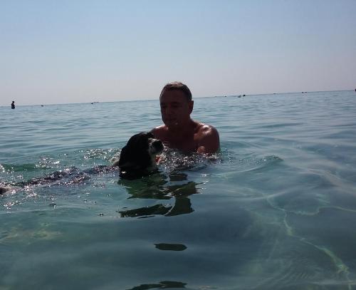 a man and a dog in the water at Casa Roby 120 mt Beach in Fontane Bianche