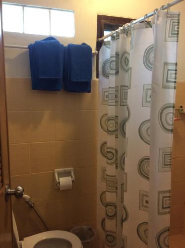 a bathroom with a shower with a toilet and blue towels at Mountain View GuesthouseChiangmai in Chiang Mai