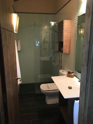 a bathroom with a shower and a toilet and a sink at Santa Bárbara in Sant Corneli de Cercs 