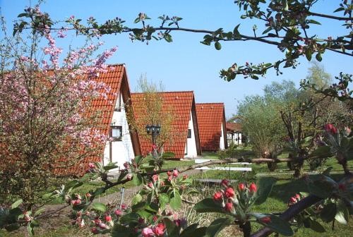a garden with pink flowers and buildings in the background at Ferienhaus Wigwam im Feriendorf Altes Land in Hollern-Twielenfleth