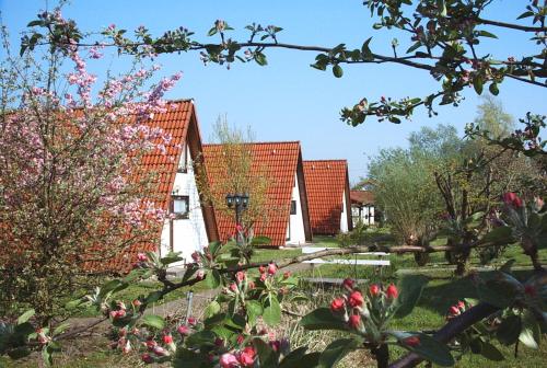 a garden with pink flowers and buildings in the background at Ferienhaus Wigwam im Feriendorf Al in Bachenbrock
