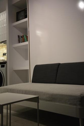 Industrial small Loft