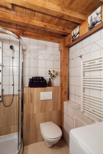 une salle de bain avec toilettes, douche et lavabo dans l'établissement Appartement Rue D'Italie, à Nice