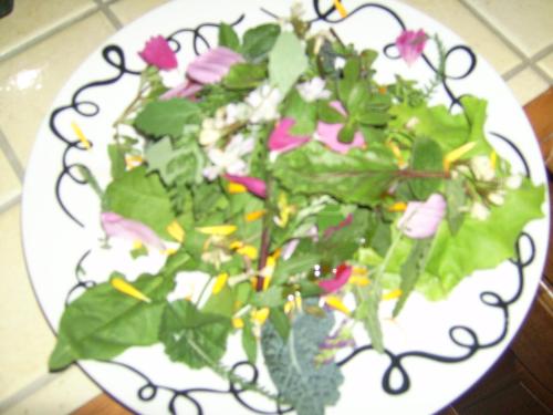 a plate of salad with lettuce and flowers on it at Chez Louis chambres d'hôtes à la ferme in La Canourgue