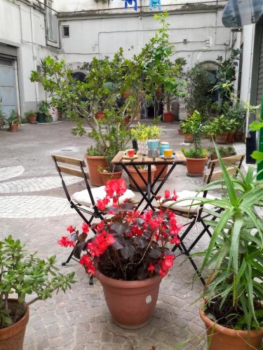 Modern apartment in Napoli, near historical centre