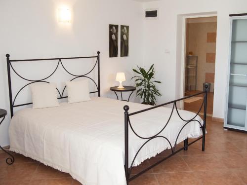 Charming Apartment in Novigrad, 45 sqm, with Terrace