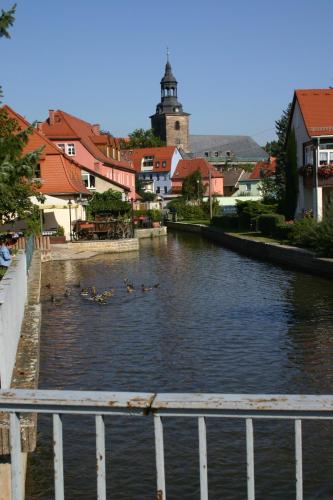 a group of ducks swimming in a river at ILMHOFpension in Bad Berka