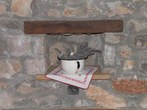 a plant in a pot on a shelf on a wall at Apartments Valentinus 1800 in Sežana