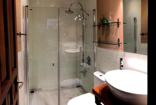 a bathroom with a glass shower and a sink at 19th Century Sevillian Apartment in Seville