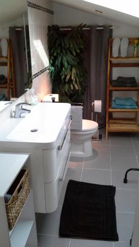 une salle de bain avec un lavabo blanc et des toilettes dans l'établissement La Mansardiere, à Villecroze
