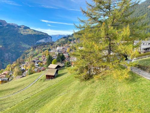 Jungfraujoch, Chalet Ski In&Out, Wengen, Valley view