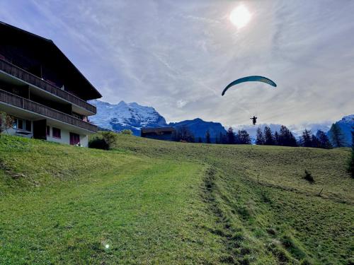 Jungfraujoch, Chalet Ski In&Out, Wengen, Valley view