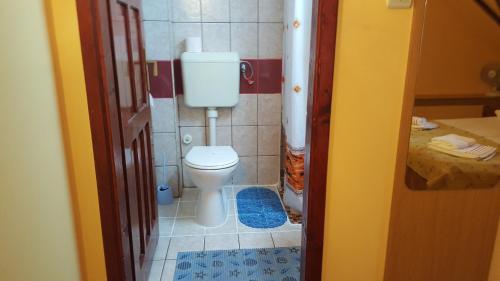 a small bathroom with a toilet in a room at Pension Ela in Sibiu