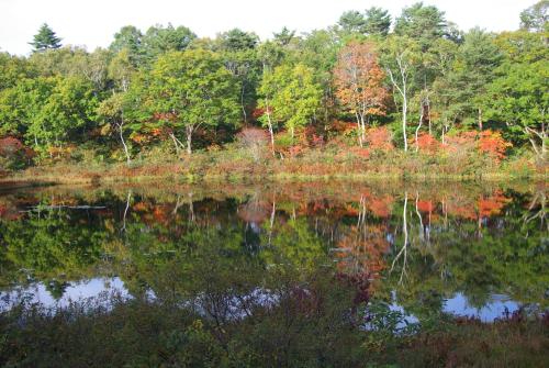 a reflection of trees in the water of a lake at Hotel Kodama in Yamanouchi