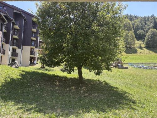 Appartement chaleureux vue forêt - 5 pers.