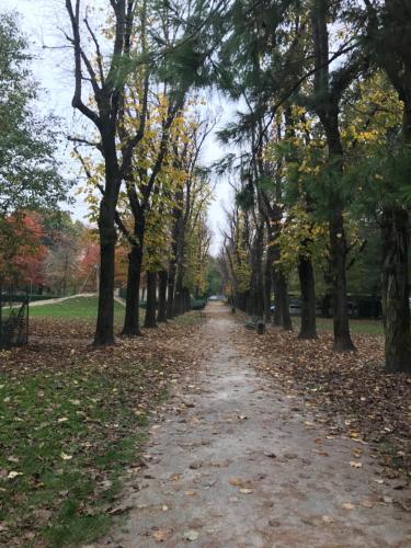 a dirt road lined with trees in a park at Amazing Flat with terrace in Milan