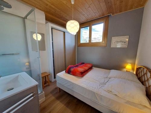 Appartement 8 pers, près des pistes, animaux admis
