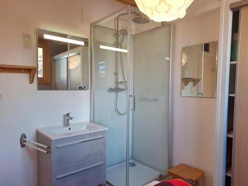Appartement 8 pers, près des pistes, animaux admis
