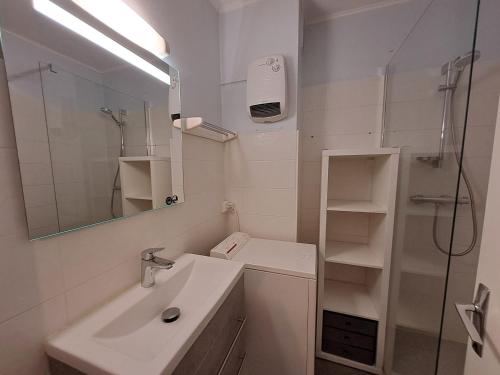 Appartement 8 pers, près des pistes, animaux admis