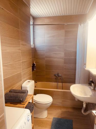 Skyline apartment Ioannina